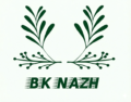 BK NAZH LOGO